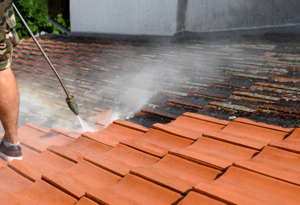 Reliable South Greeley, WY Pressure Washing Solutions