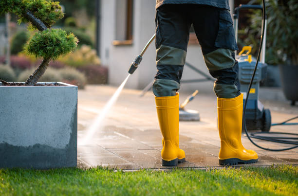 Best House Pressure Washing  in South Greeley, WY